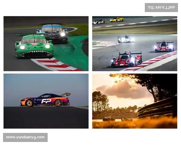 weig 赛事(wec赛事)