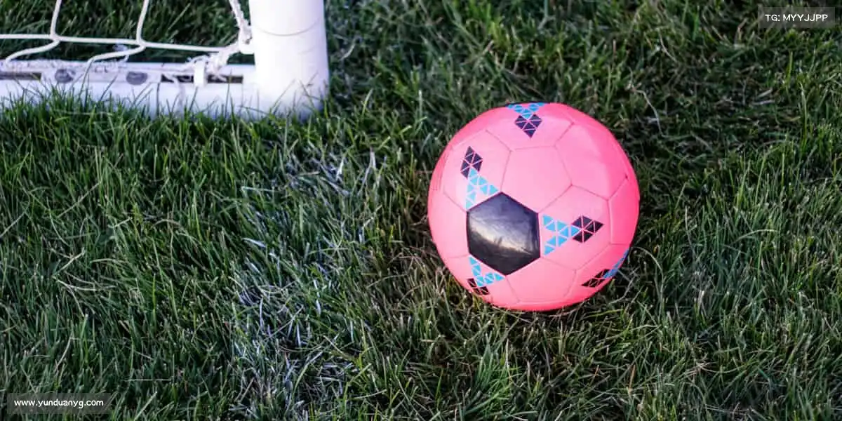 sa3636沙龙国际——专业守护每一次突破,运动路上与你同行!💪